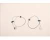 Lenovo 5A30Z88214 Antenne ACCY KITS ANT WL-AWAN JP610