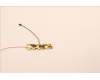 Lenovo 5A30Z88216 Antenne ACCY KITS ANT WW AWAN JP610