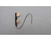 Lenovo 5A30Z88231 Antenne FRU Antenne Jing Intel 1.0