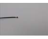 Lenovo 5A30Z88239 Antenne FRU ACCY KITS ANT WLAN KP6B0