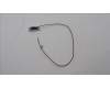Lenovo 5A31F27661 Antenne Fru, Gaming T580 Main Ant_Speed