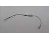 5A31F27699 Lenovo ANTENNA Fru, RPL-Mini antenna_HTK