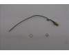 5A31F27721 Lenovo ANTENNA Fru,148mm RF cable_LUX