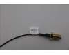 5A31F27724 Lenovo ANTENNA Fru,148mm RF cable_HB