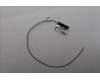 Lenovo 5A31F27738 Antenne Fru,Neo Studio main Antenne_LUX