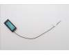 5A31F27780 Lenovo ANTENNA LOQ 26L main antenna_LUX