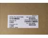 5A31F75899 Lenovo ANTENNA KIT_WLAN Antenna_HongBo
