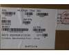 5B40S22241 Lenovo BRACKET BRACKET L82YQ R