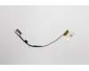Lenovo 5C10G15008 Displaykabel Cable C N20