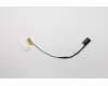 Lenovo 5C10G15008 Displaykabel Cable C N20