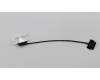 5C10L20774 Lenovo Displaykabel W 80SW FHD