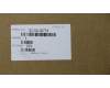 5C10L20774 Lenovo Displaykabel W 80SW FHD