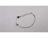 5C10L72490 Lenovo Displaykabel L80UM