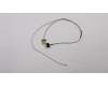 5C10L72490 Lenovo Displaykabel L80UM