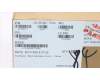 5C10N67217 Lenovo CABLE EDP Cable L 80VR IR UHD