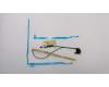 5C10Q95923 Lenovo CABLE EDP Cable C 81CT UHD