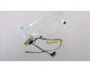 5C10Q96452 Lenovo CABLE EDP Cable C 81CU UHD