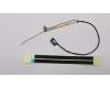 5C10R07368 Lenovo Displaykabel 3N 81F5