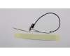 5C10R07368 Lenovo Displaykabel 3N 81F5