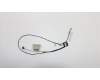 5C10R08621 Lenovo Displaykabel L 81EK mit Touchpad