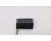 5C10S29894 Lenovo Displaykabel C 81ND_250NITS