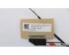 5C10S29895 Lenovo Displaykabel C 81ND_300NITS
