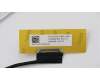 5C10S29901 Lenovo Displaykabel C 81N5