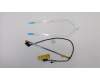 5C10S29901 Lenovo Displaykabel C 81N5