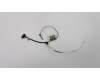 5C10S29922 Lenovo Displaykabel H 81NE