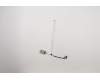 5C10S29967 Lenovo Displaykabel L 81RS FHD