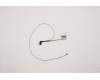 5C10S29996 Lenovo CABLE LCD Cable W 81VS
