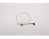 5C10S29996 Lenovo CABLE LCD Cable W 81VS