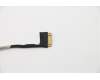 Lenovo 5C10S29997 Displaykabel Cable W 81VR