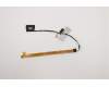 5C10S30070 Lenovo Displaykabel C 81XE