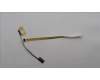 5C10S30752 Lenovo CABLE EDP cable C 82XF RGB40