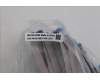 5C10S31148 Lenovo CABLE Cable L 83GU EDP XINTAILI