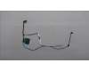 5C10S31611 Lenovo CABLE EDP cable W21US WUX 120 T
