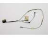 5C10T95191 Lenovo CABLE EDP cable B 81QC