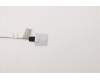 Lenovo 5C10U58246 CABLE M/B-LCD_LG_23.8