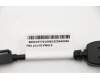 Lenovo 5C10V05978 KabelFRU MDisplayport To Displayport Dongle