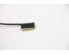 5C10V28090 Lenovo Koaxialkabel Display E-Privacy