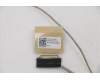 5C11B01396 Lenovo CABLE EDP cable C 82FJ