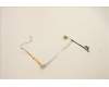 Lenovo 5C11C12602 CABLE FRU Mars3.0AMD EDP&IR Kamerakabel