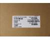 5C11C12640 Lenovo CABLE FRU EDP CABLE,CS LCLW 2.4T WWAN