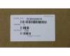 5CB0Q09576 Lenovo COVER Lower Case L 80Y7 PTN
