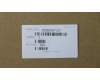 5CB0S57327 Lenovo COVER Lower Case C 81HG