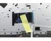 Lenovo 5CB0U42374 Tastatur inkl. Topcase C81N4 PLBLU FPNBL UK