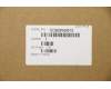 Lenovo 5CB0W43513 Tastatur inkl. Topcase ASM_GR W 81Q8 MC W/KB