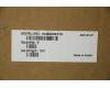 Lenovo 5CB0X56179 Tastatur inkl. TopcaseASM_US INTE L81YKBLNFPGG