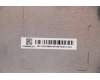5CB0X58092 Lenovo COVER Lower case C 81WJ_PINK
